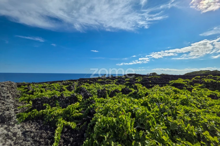 Terreno para Venda em São Caetano Foto 7