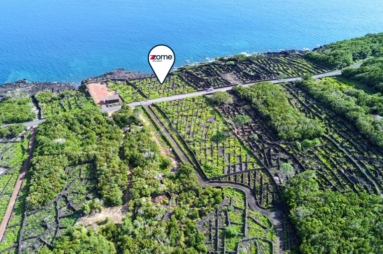 Terreno para Venda em São Caetano