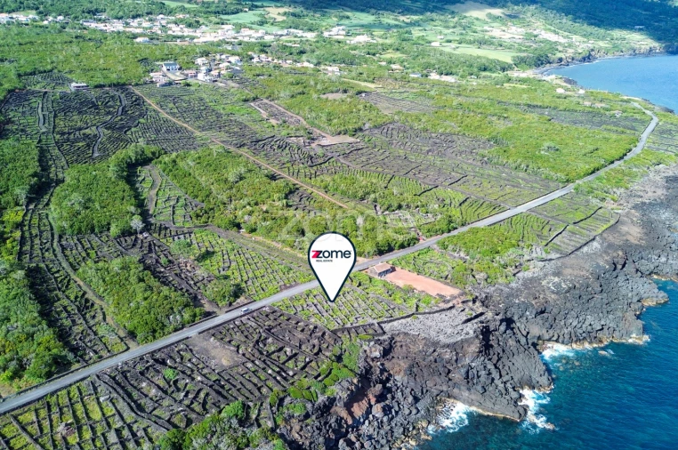Terreno para Venda em São Caetano Foto 10