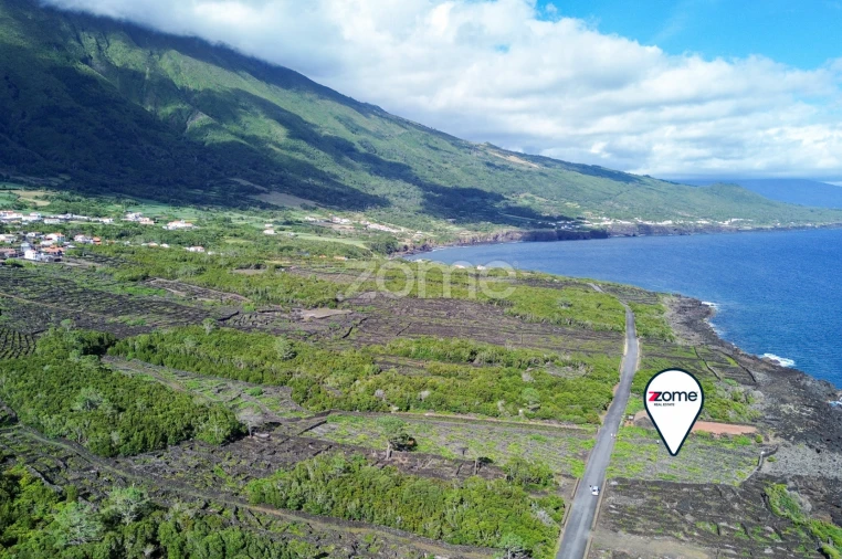 Terreno para Venda em São Caetano Foto 11