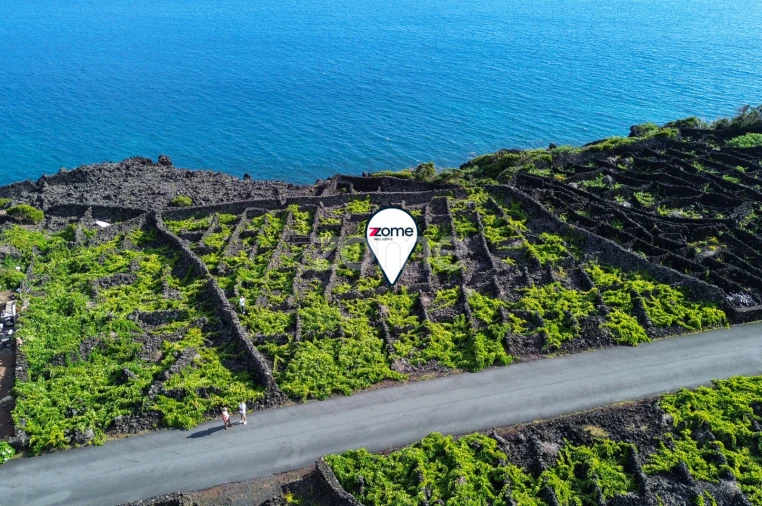 Terreno para Venda em São Caetano Foto 12