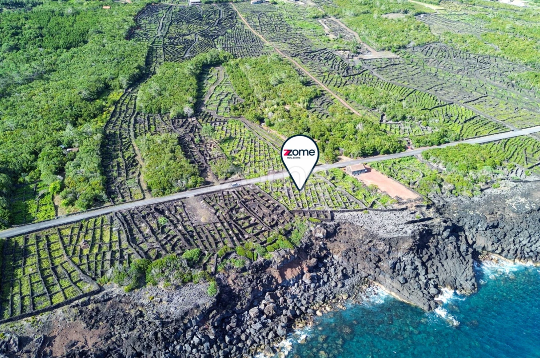 Terreno para Venda em São Caetano Foto 2