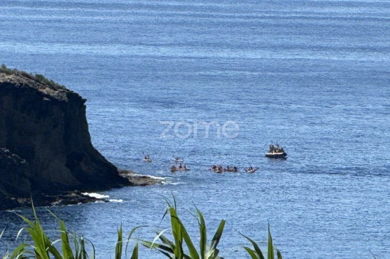 Terreno para Venda em Vila Franca do Campo (São Pedro) Foto 17