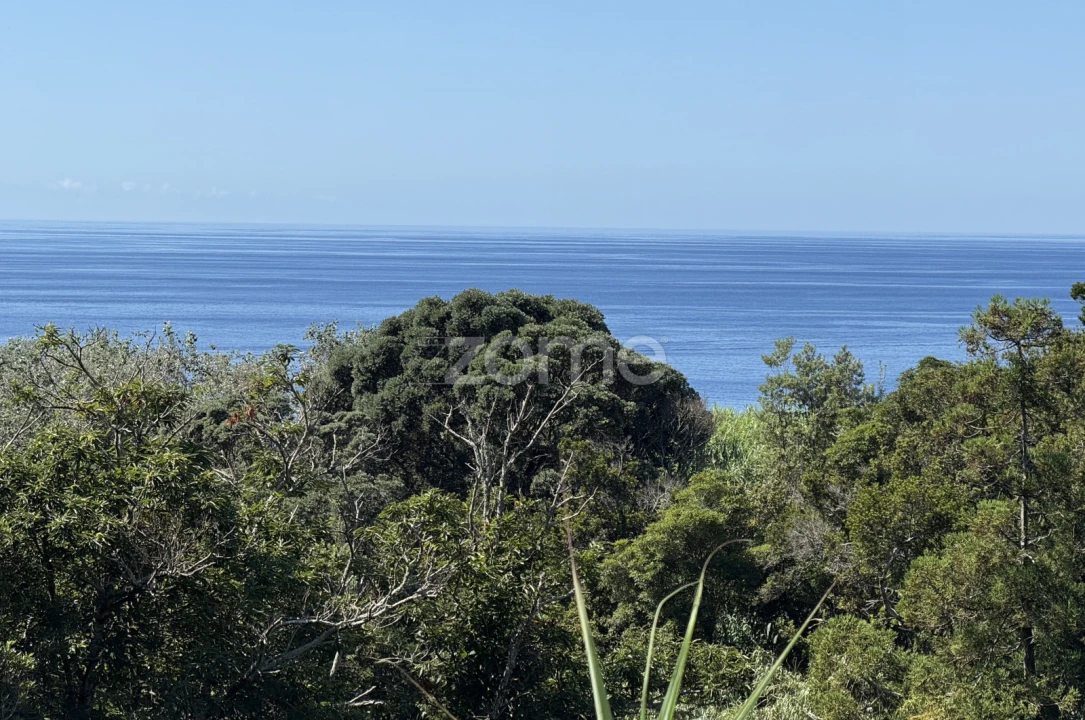 Terreno para Venda em Vila Franca do Campo (São Pedro) Foto 14