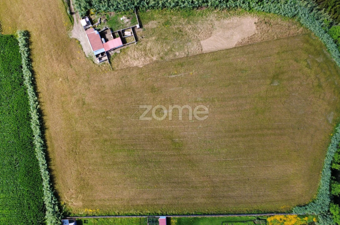 Terreno para Venda em Vila Franca do Campo (São Pedro) Foto 23