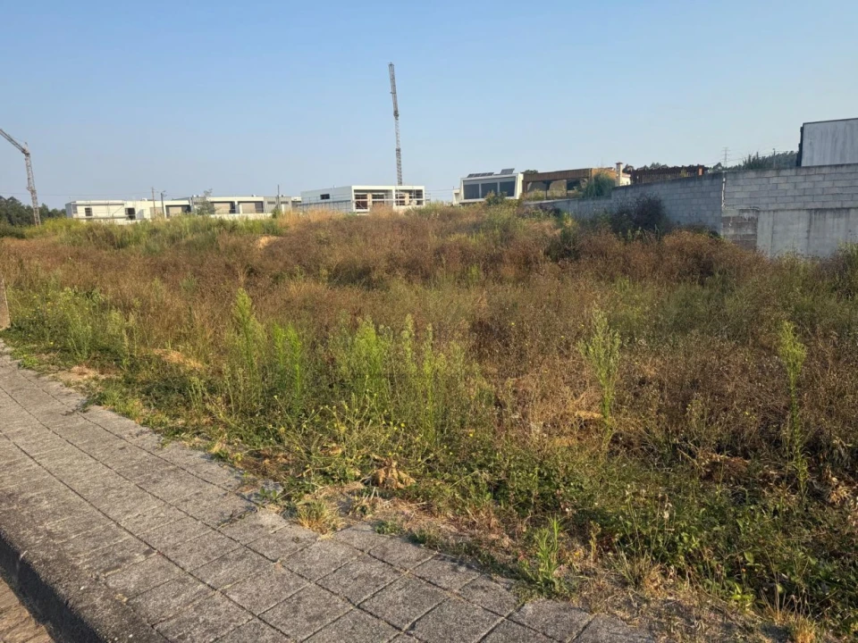 Terreno para Venda em Muro Foto 4