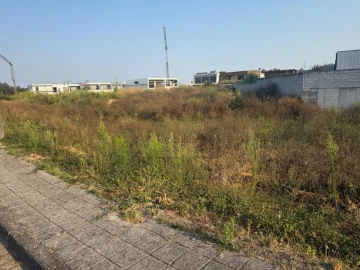 Terreno para Venda em Muro
