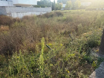 Terreno para Venda em Muro
