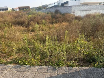 Terreno para Venda em Muro