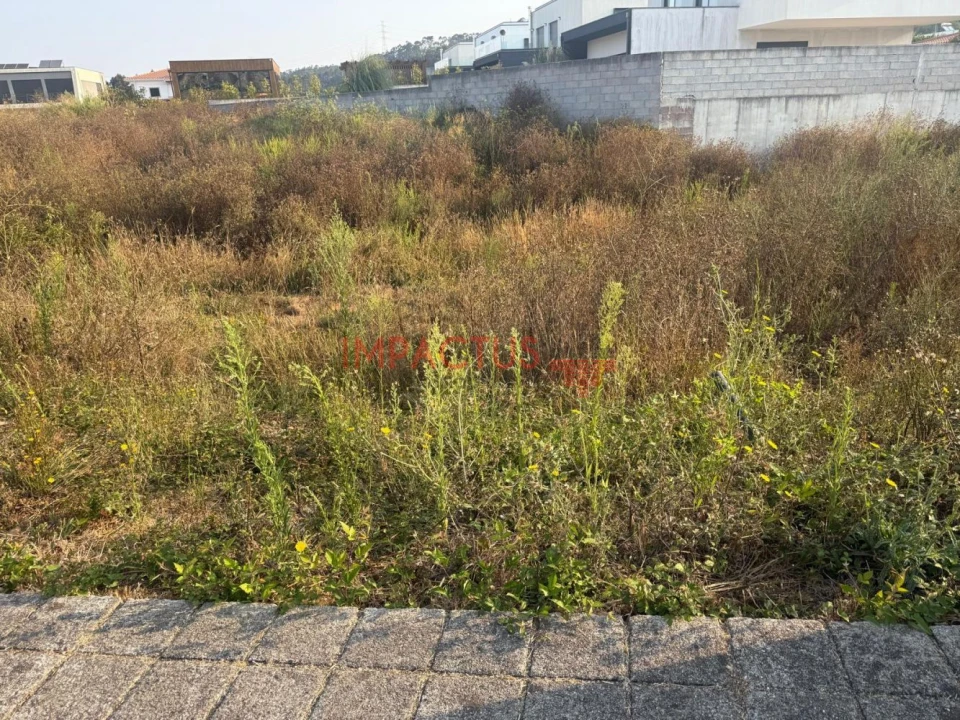 Terreno para Venda em Muro Foto 5