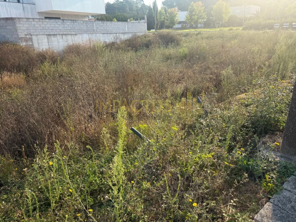 Terreno para Venda em Muro Foto 6
