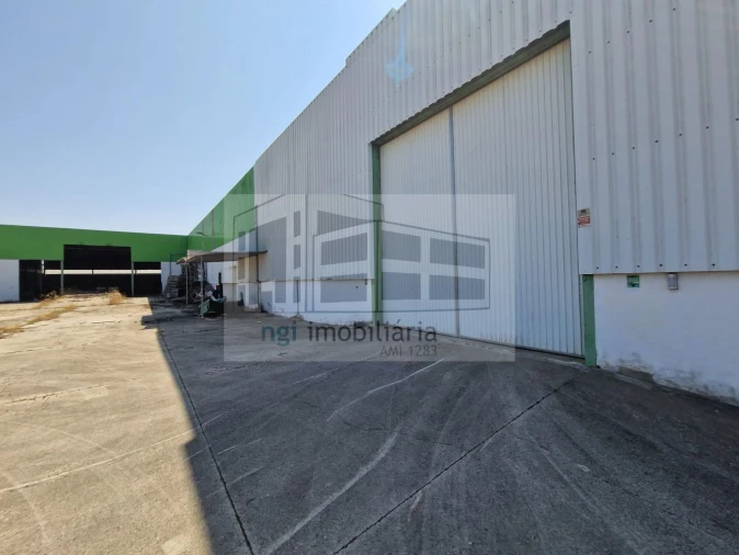 Loja para Venda em Salvaterra de Magos e Foros de Salvaterra Foto 19