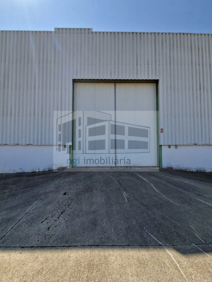 Loja para Venda em Salvaterra de Magos e Foros de Salvaterra Foto 15