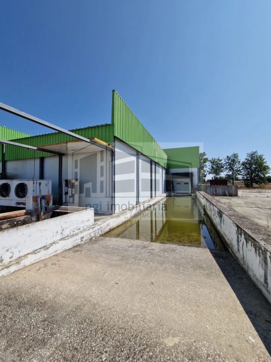 Loja para Venda em Salvaterra de Magos e Foros de Salvaterra Foto 24