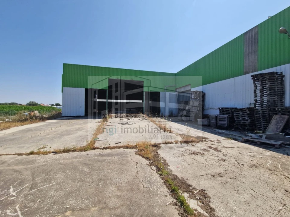 Loja para Venda em Salvaterra de Magos e Foros de Salvaterra Foto 18