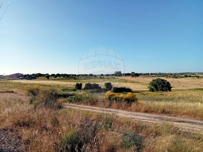 Terreno para Venda em Ereira e Lapa Foto 12