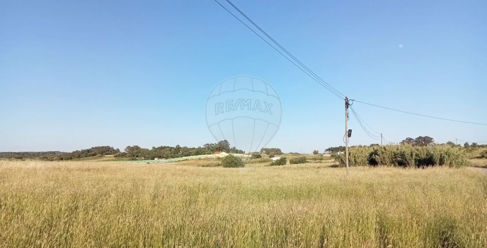 Terreno para Venda em Ereira e Lapa Foto 1