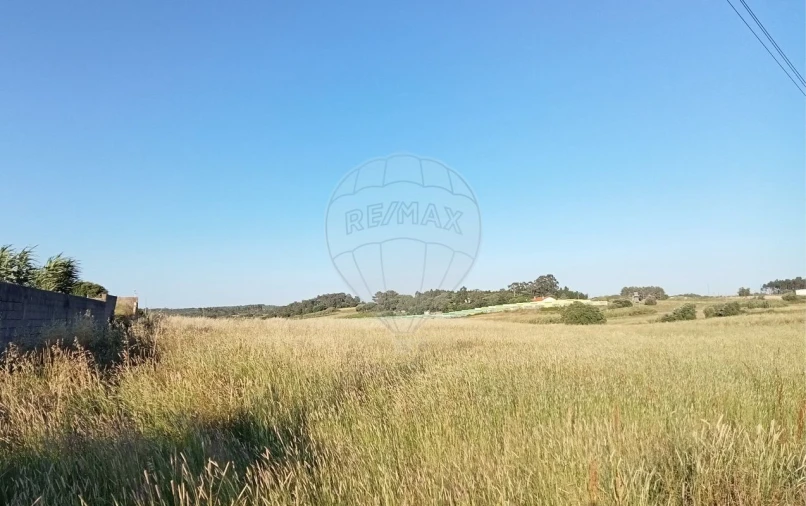 Terreno para Venda em Ereira e Lapa Foto 3