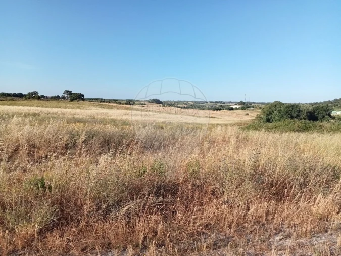 Terreno para Venda em Ereira e Lapa Foto 11