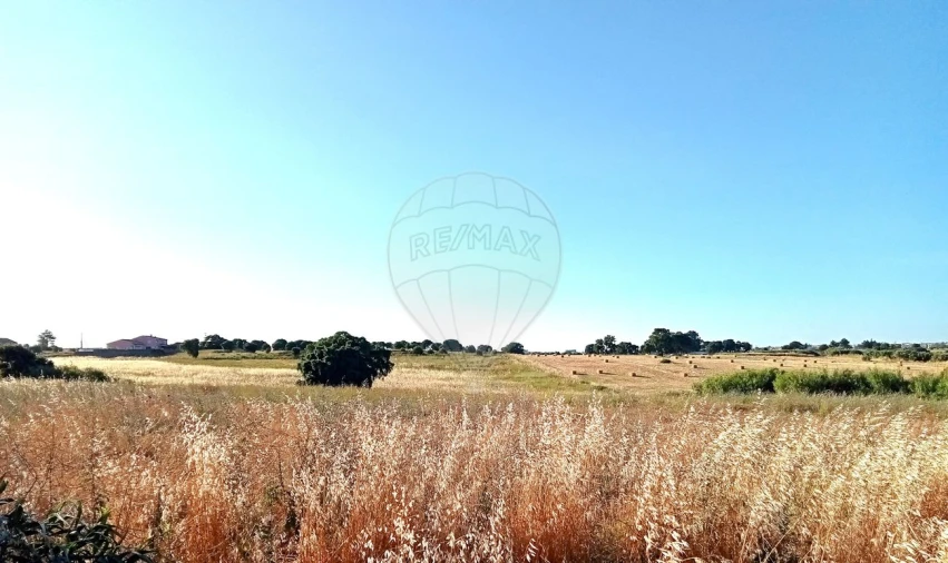 Terreno para Venda em Ereira e Lapa Foto 4