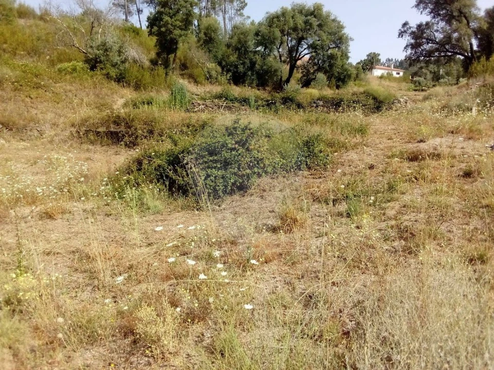 Terreno para Venda em Cardigos Foto 4