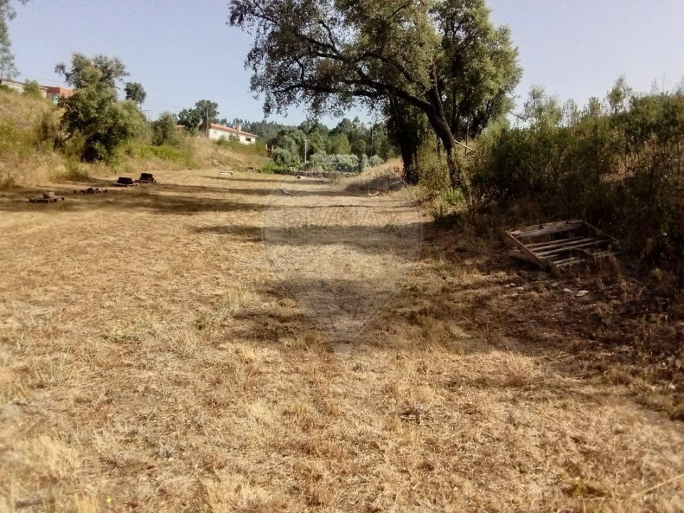 Terreno para Venda em Cardigos Foto 2