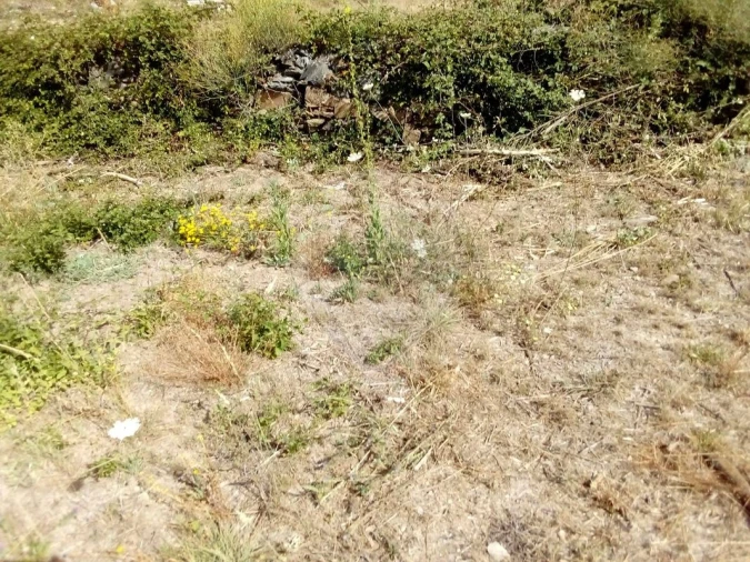 Terreno para Venda em Cardigos Foto 6