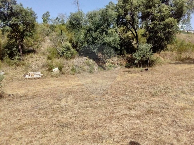 Terreno para Venda em Cardigos Foto 7