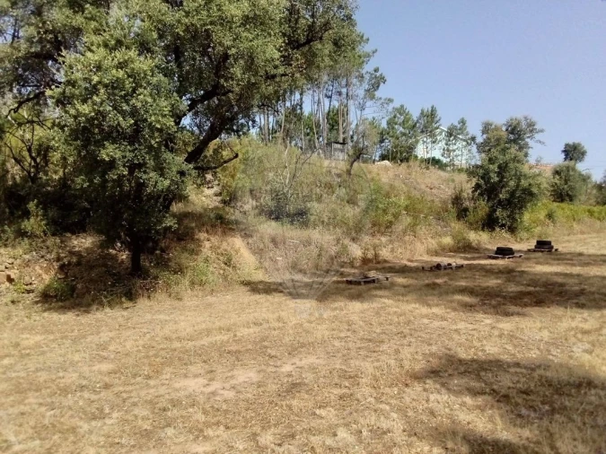 Terreno para Venda em Cardigos Foto 5