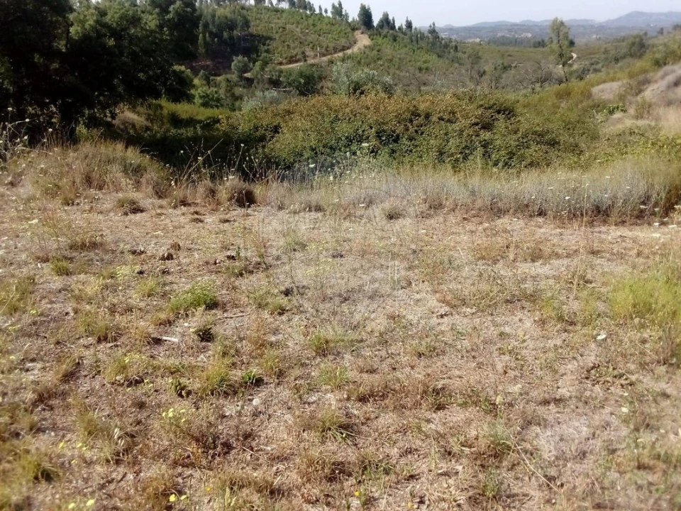 Terreno para Venda em Cardigos Foto 1