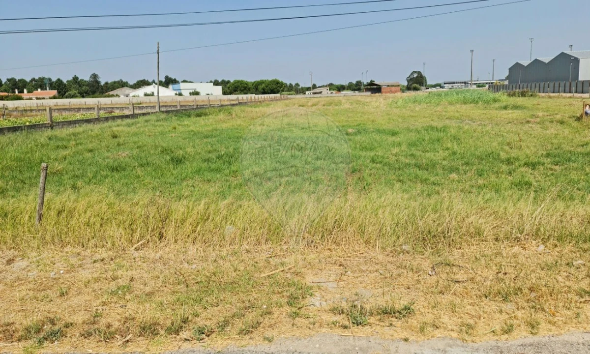 Terreno para Venda em Samora Correia Foto 1