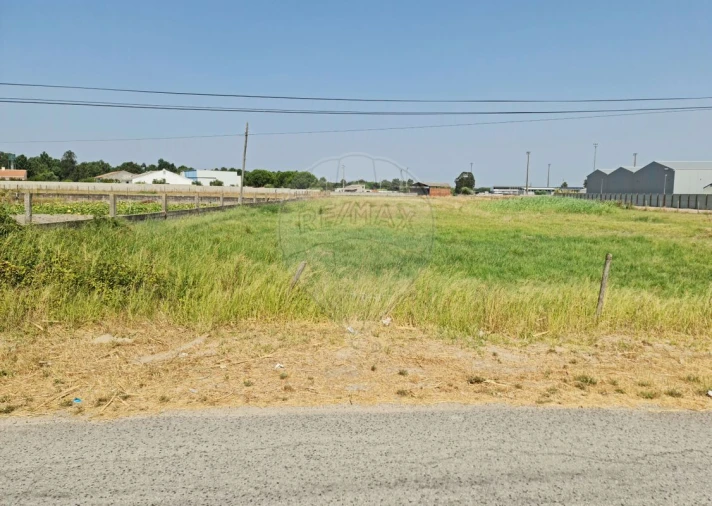 Terreno para Venda em Samora Correia Foto 2