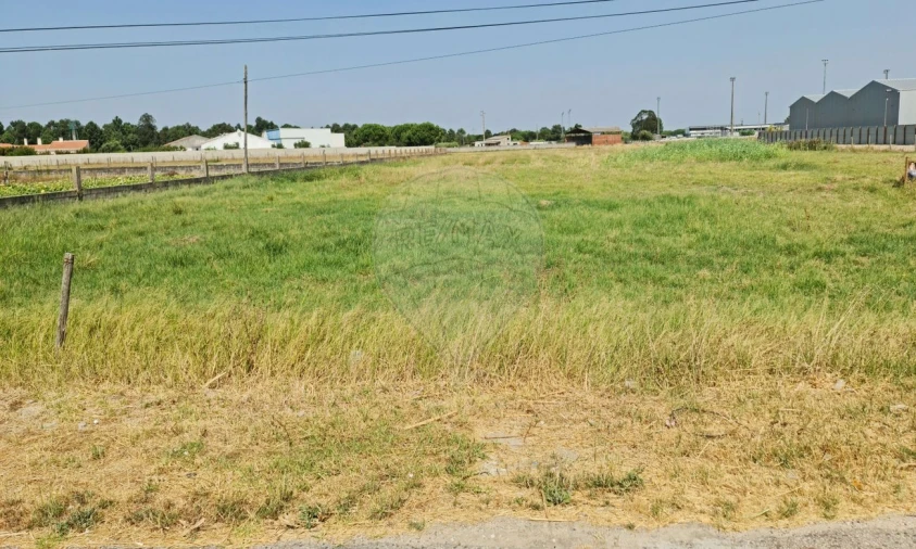 Terreno para Venda em Samora Correia Foto 3