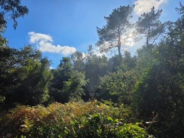 Terreno para Venda em Almargem do Bispo, Pêro Pinheiro e Montelavar