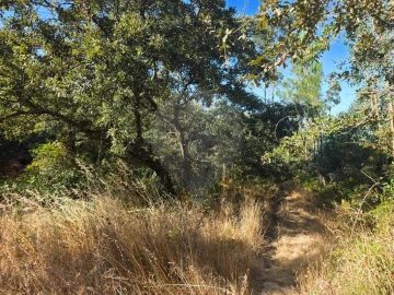 Terreno para Venda em Almargem do Bispo, Pêro Pinheiro e Montelavar