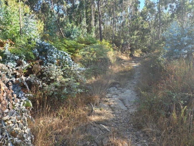 Terreno para Venda em Almargem do Bispo, Pêro Pinheiro e Montelavar Foto 8