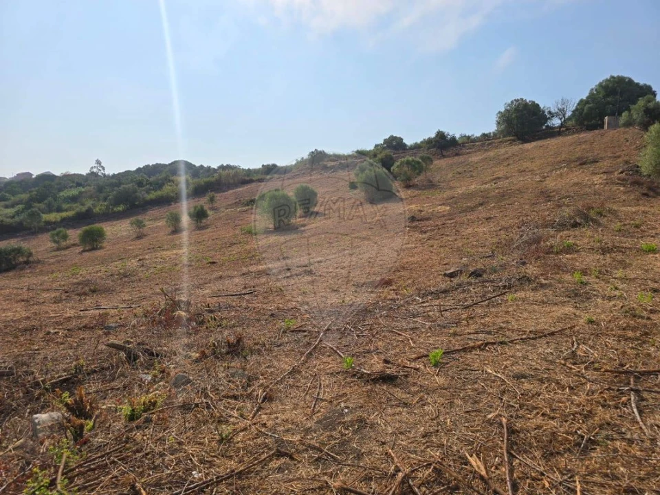 Terreno para Venda em Almargem do Bispo, Pêro Pinheiro e Montelavar Foto 9