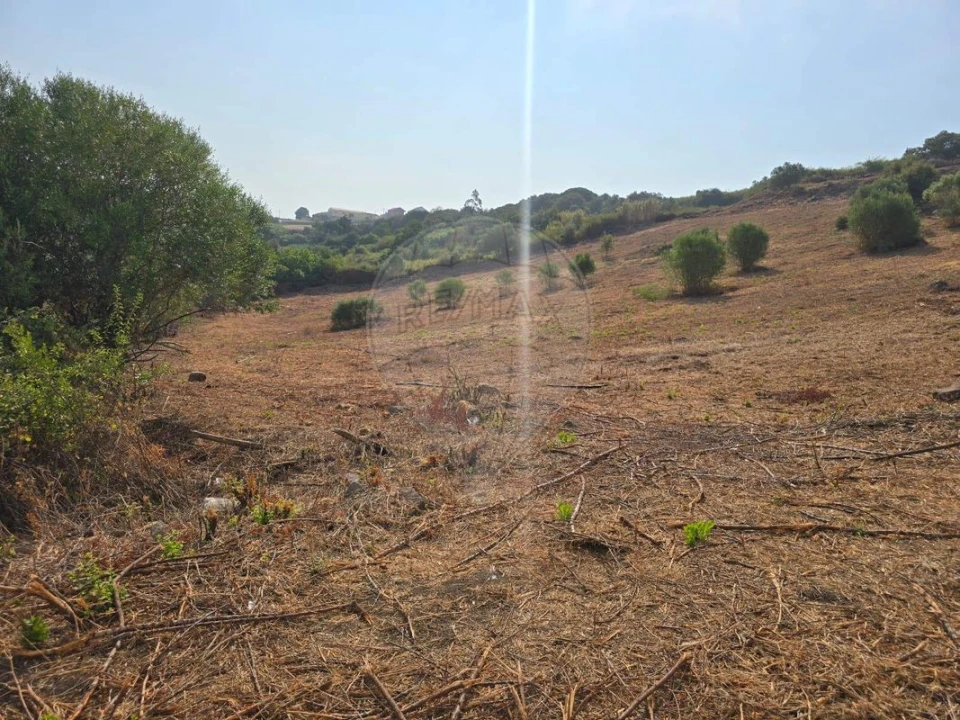 Terreno para Venda em Almargem do Bispo, Pêro Pinheiro e Montelavar Foto 7