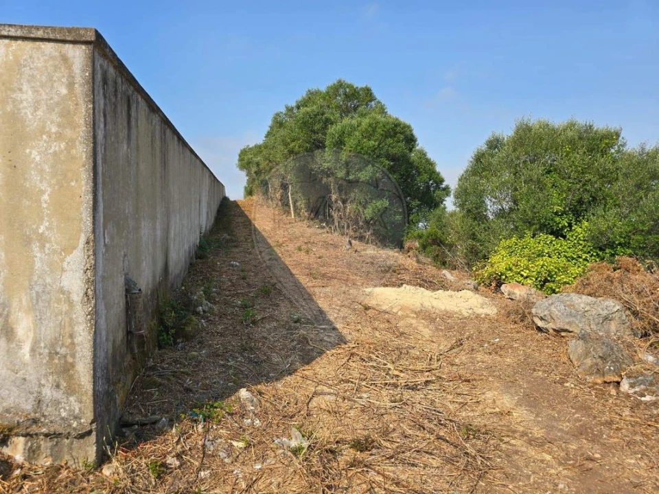 Terreno para Venda em Almargem do Bispo, Pêro Pinheiro e Montelavar Foto 6