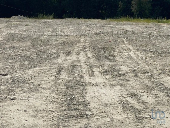 Terreno para Venda em Barcelos, V.Boa, V.Frescainha Foto 8