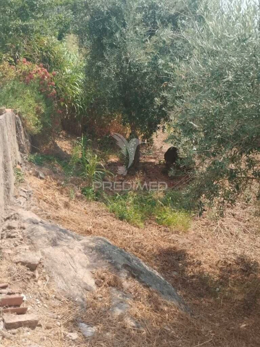 Terreno para Venda em Urra Foto 4