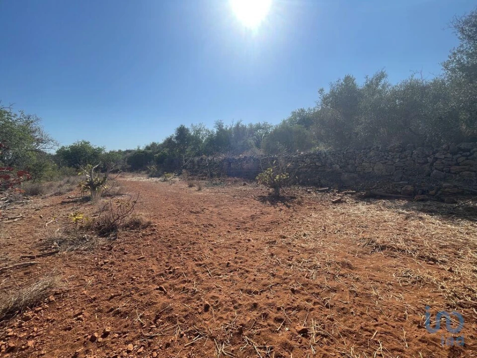 Terreno para Venda em Silves Foto 2