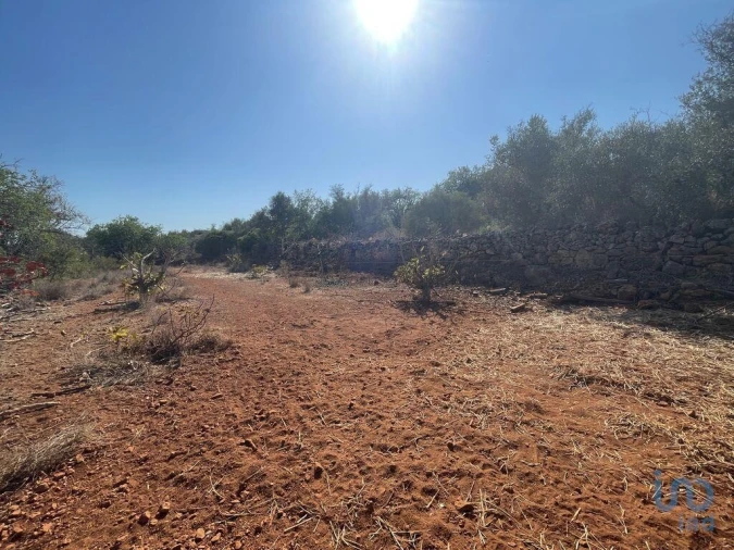 Terreno para Venda em Silves Foto 2
