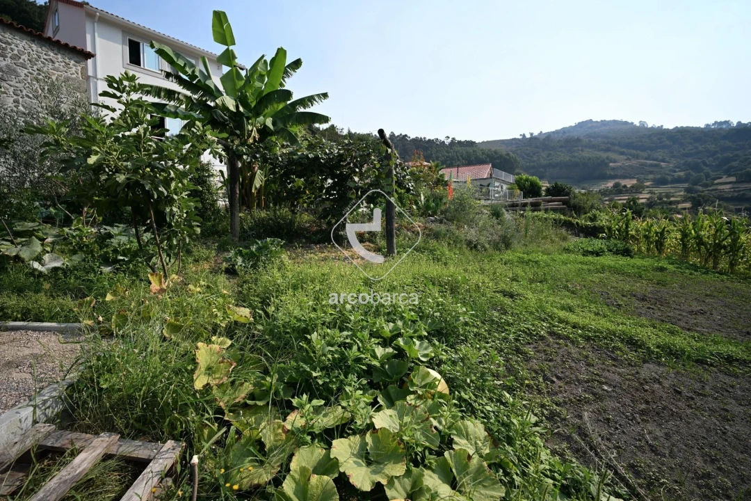 Moradia T3 para Venda em Labrujó, Rendufe e Vilar do Monte Foto 54