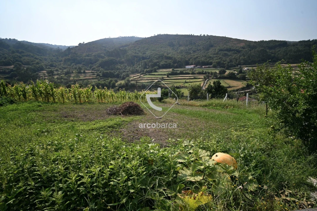 Moradia T3 para Venda em Labrujó, Rendufe e Vilar do Monte Foto 55