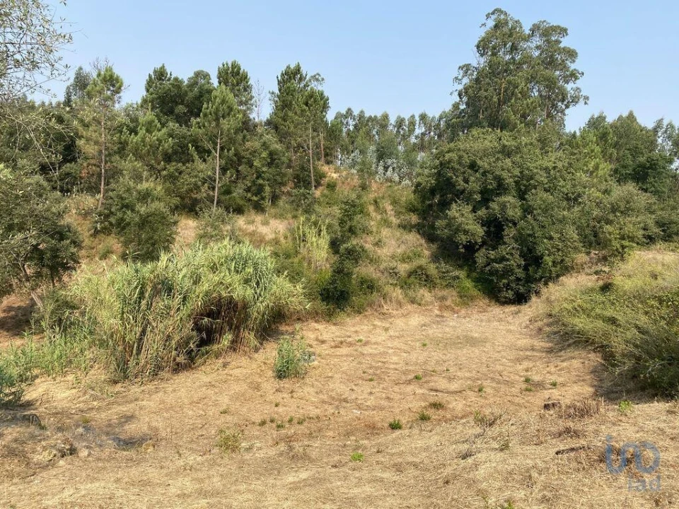 Terreno para Venda em Marrazes e Barosa Foto 4