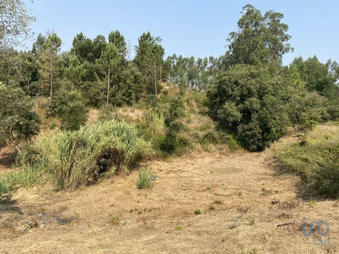 Terreno para Venda em Marrazes e Barosa Foto 4