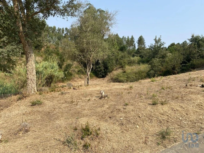Terreno para Venda em Marrazes e Barosa Foto 3