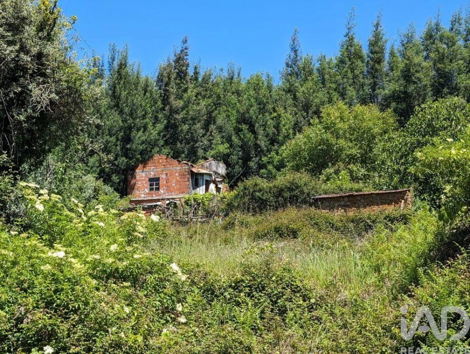 Moradia para Venda em Vila Facaia Foto 21