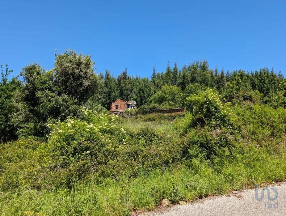 Moradia para Venda em Vila Facaia Foto 5